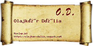 Olajkár Délia névjegykártya